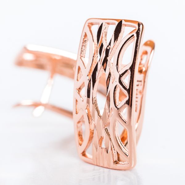 Earrings F82100414