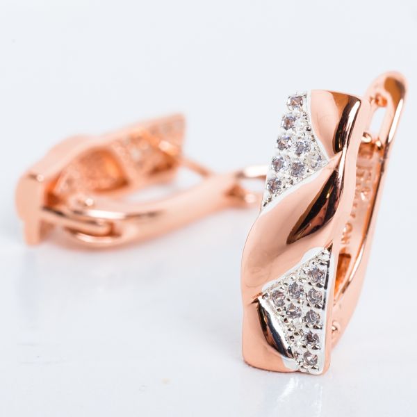 Earrings F92202989-01